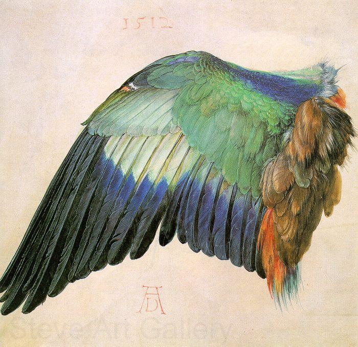 Albrecht Durer Wing of a Roller